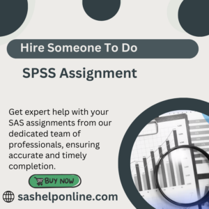 Hire Someone To Do SPSS Assignment