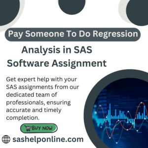 Pay Someone To Do Regression Analysis in SAS Software Assignment