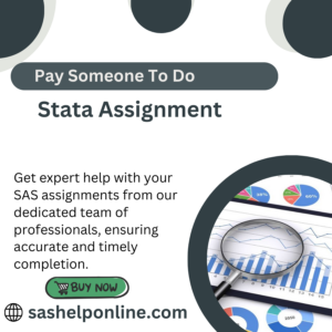 Pay Someone To Do Stata Assignment