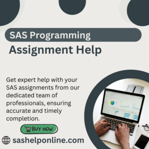 SAS Programming assignment help