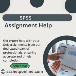 SPSS Assignment Help