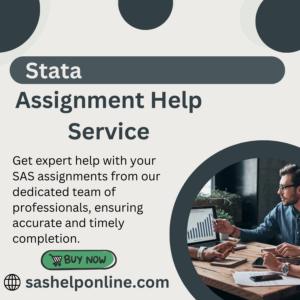 Stata Assignment Help Service