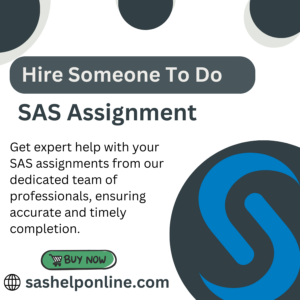 Hire Someone To Do SAS Assignment